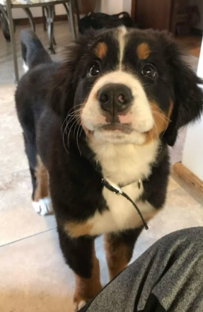 💙 Julien 🩵 tweet media