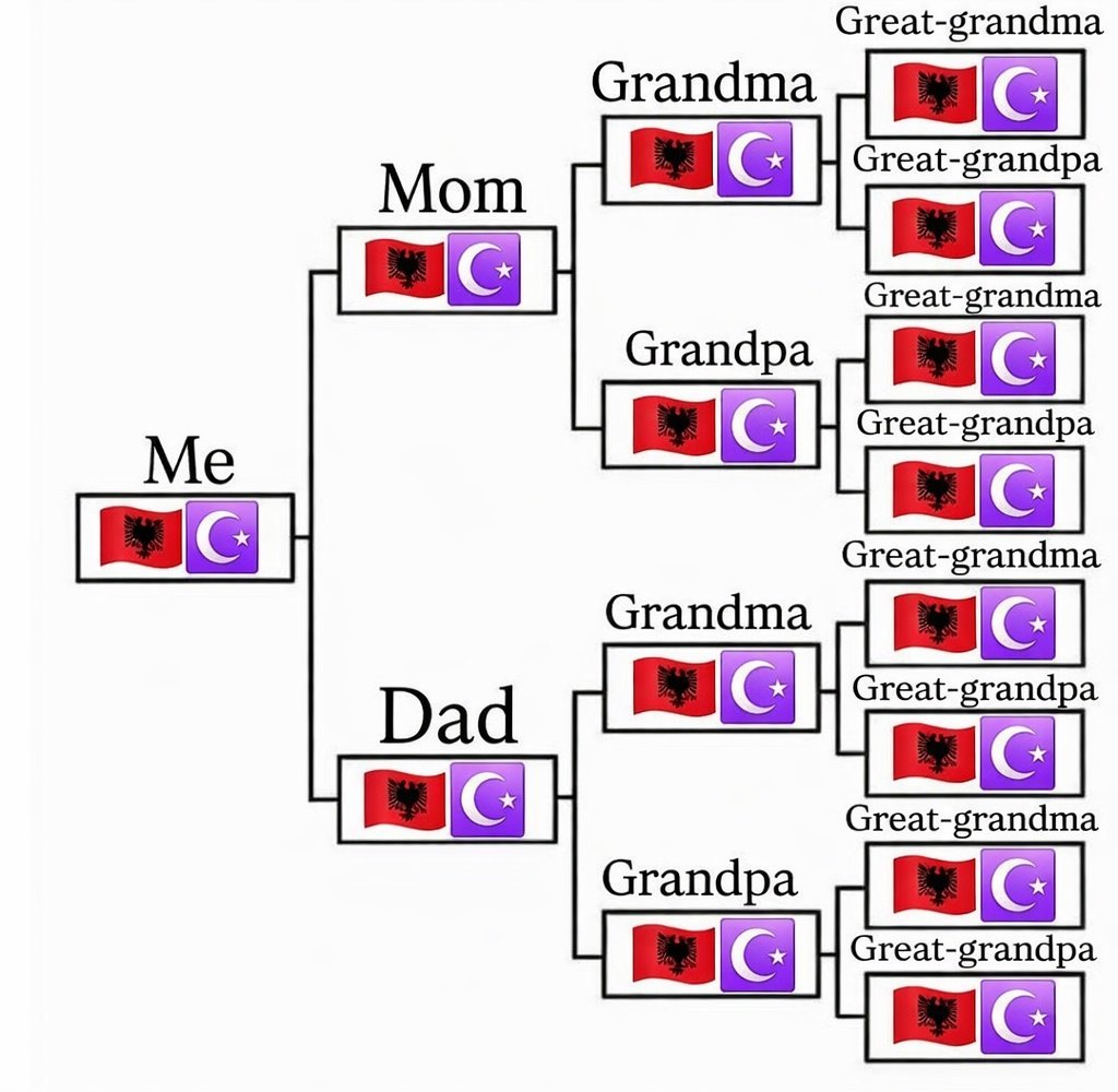 Arnavudi tweet media