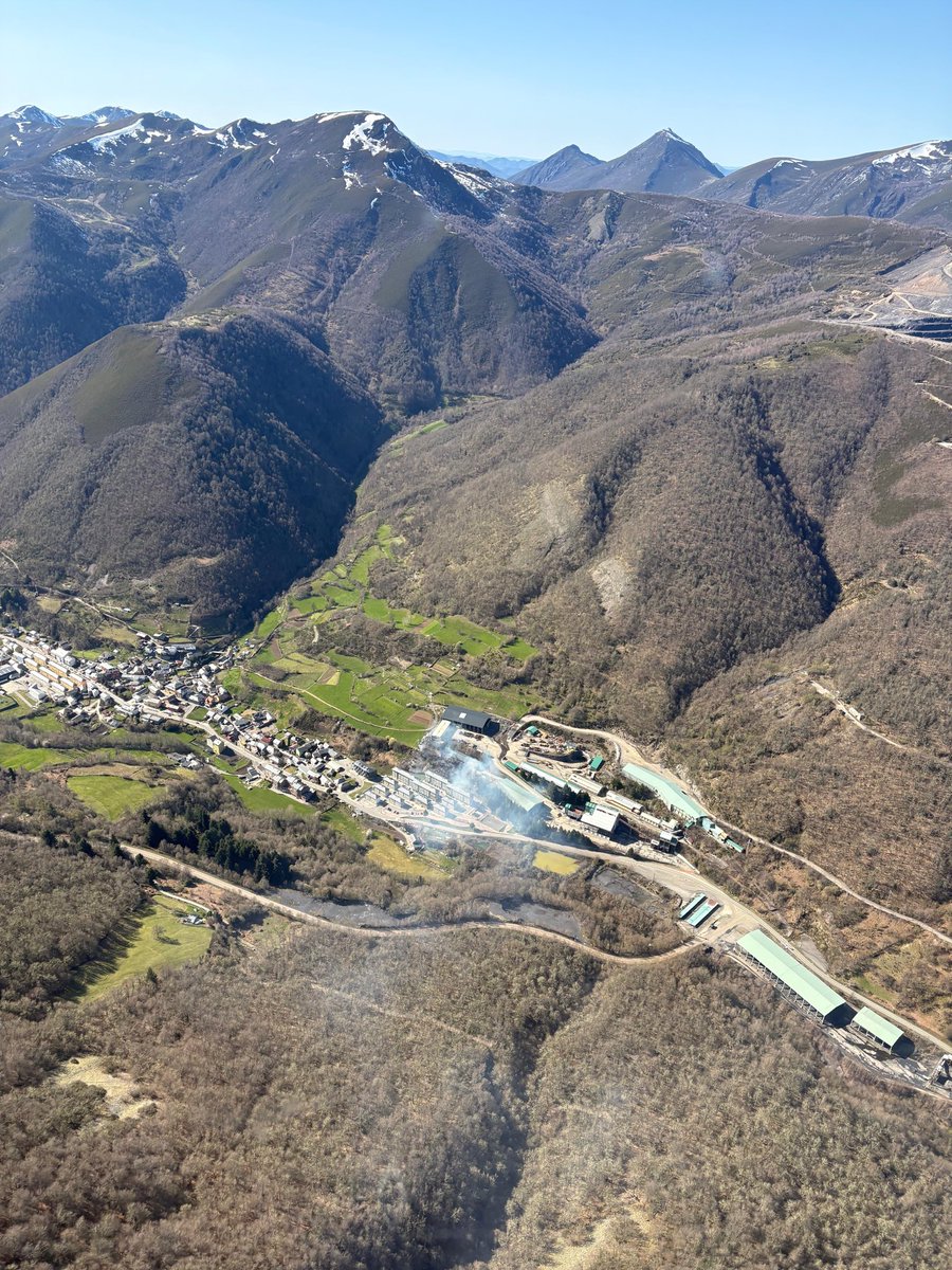 BRIF de Tineo tweet media