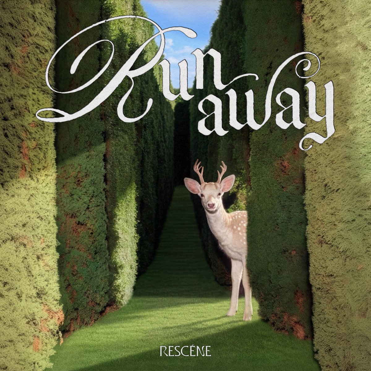 RESCENE OFFICIAL tweet media