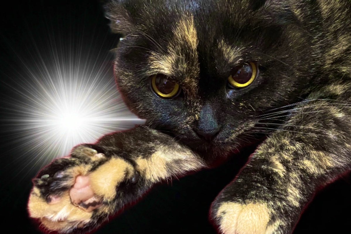 天王寺 ゆき𖤐 tweet media