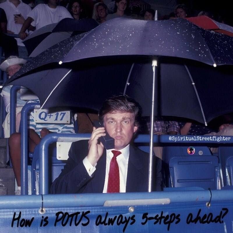 pascal pecoraro tweet media