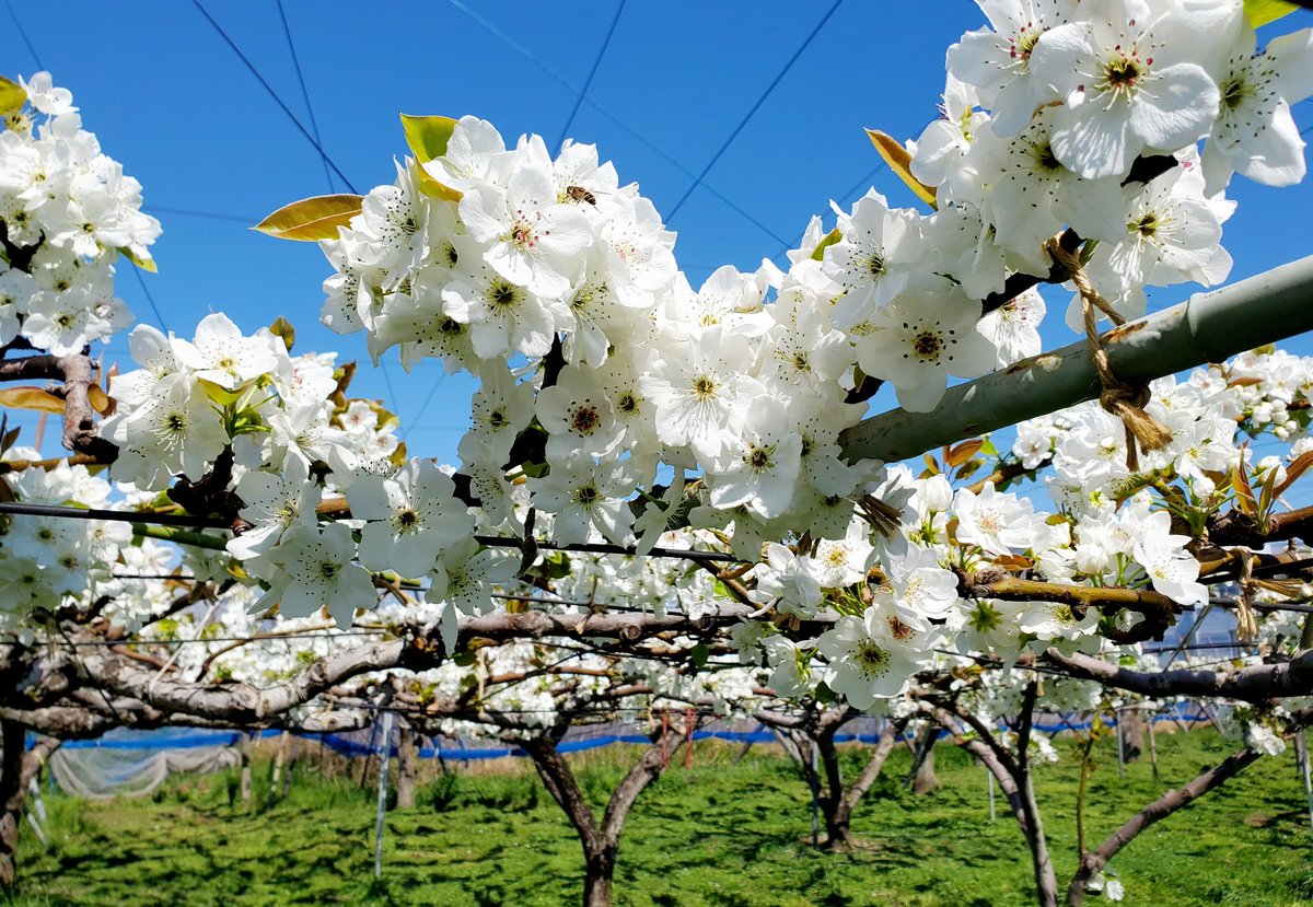 あやあや tweet media