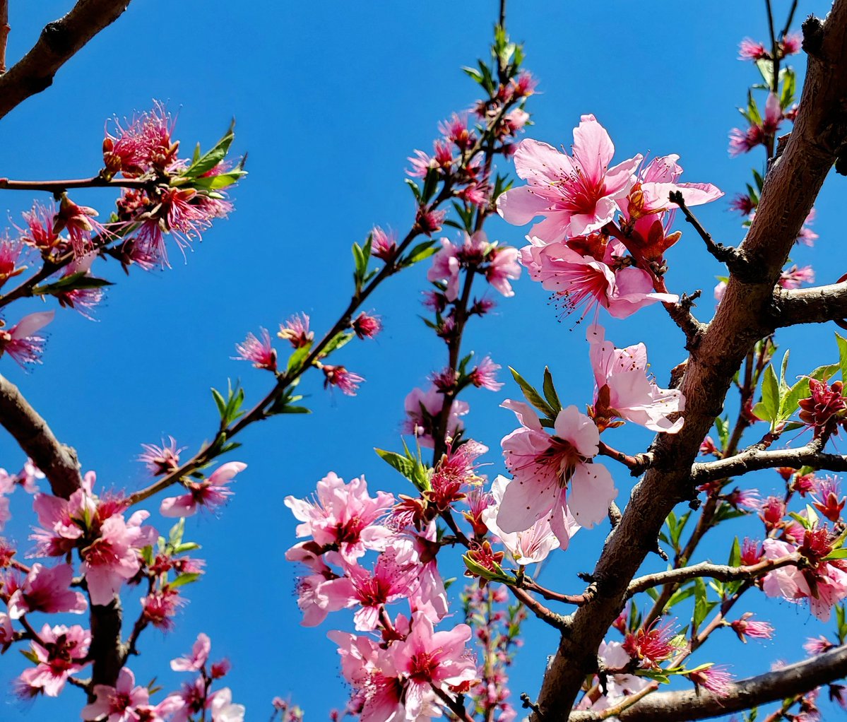 あやあや tweet media