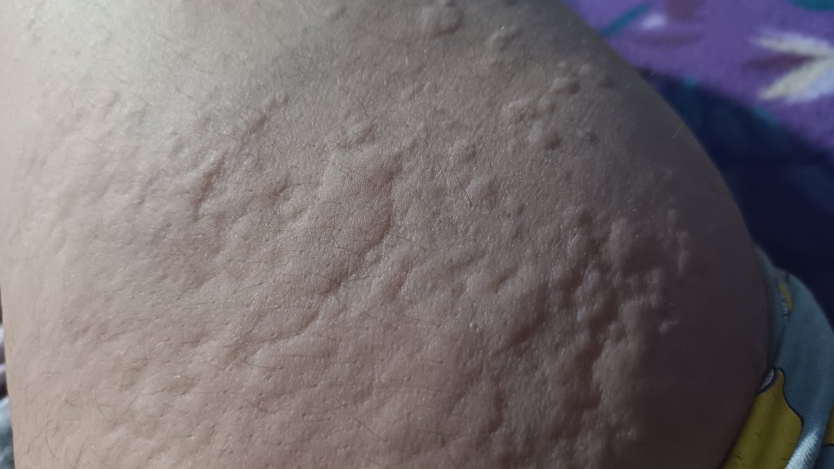 ₍˶◜︎⩊◝︎˶₎ tweet media