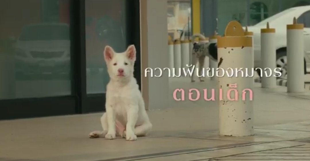 lolifroyd 😼🤍 tweet media