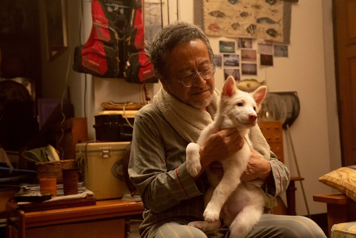 lolifroyd 😼🤍 tweet media