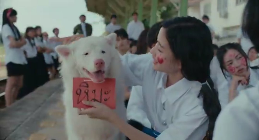 lolifroyd 😼🤍 tweet media