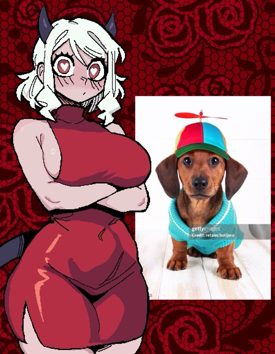 Mon-ami! tweet media