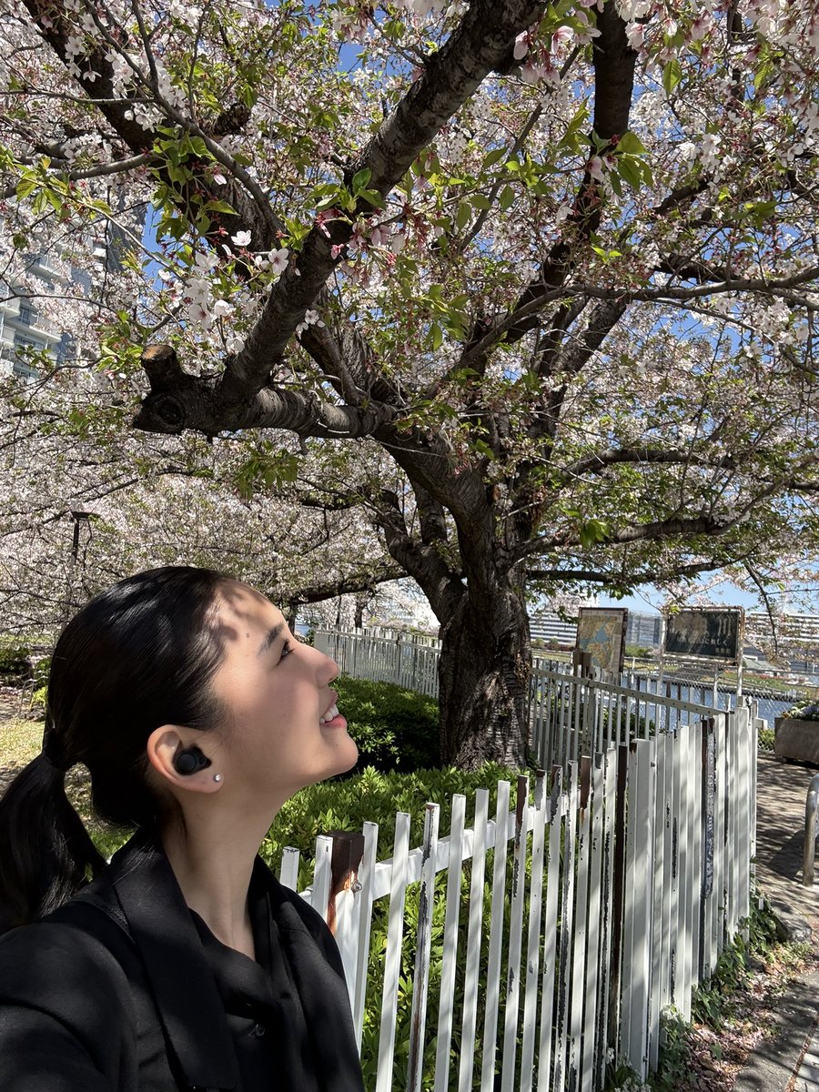 Haruka Nakagawa 仲川遥香 tweet media