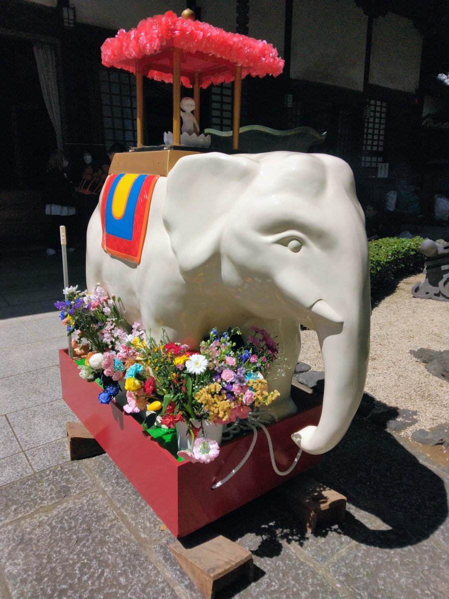 かぶらぎみなこ tweet media