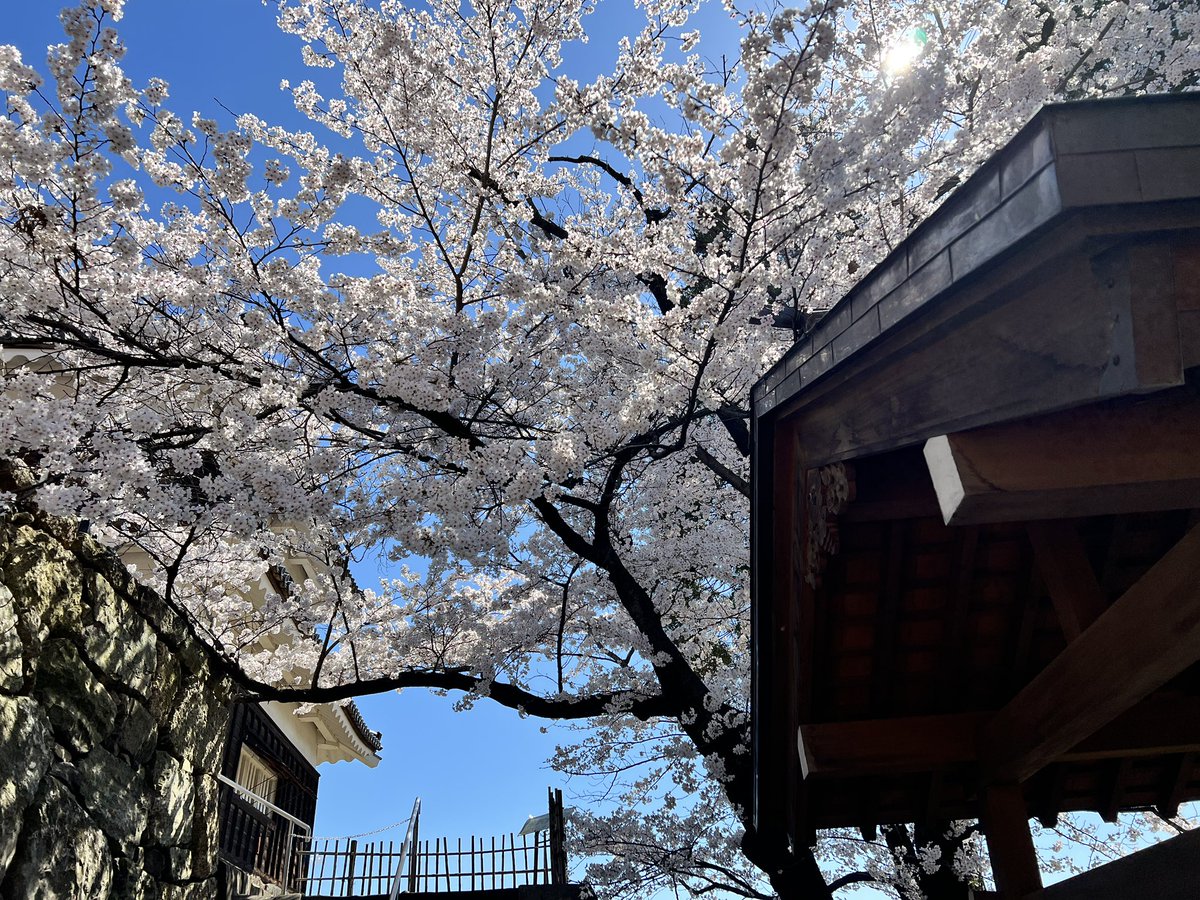 信州上田観光協会【公式】 tweet media