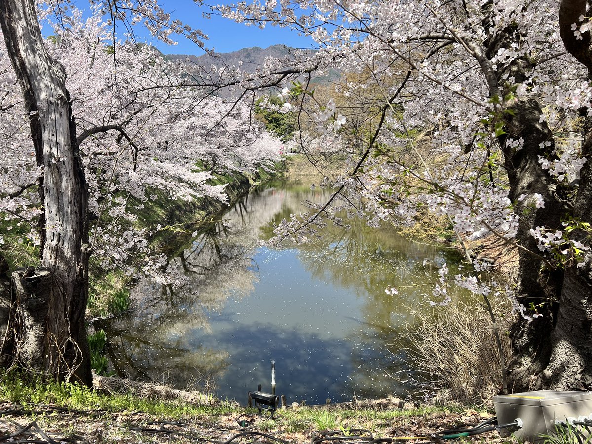 信州上田観光協会【公式】 tweet media