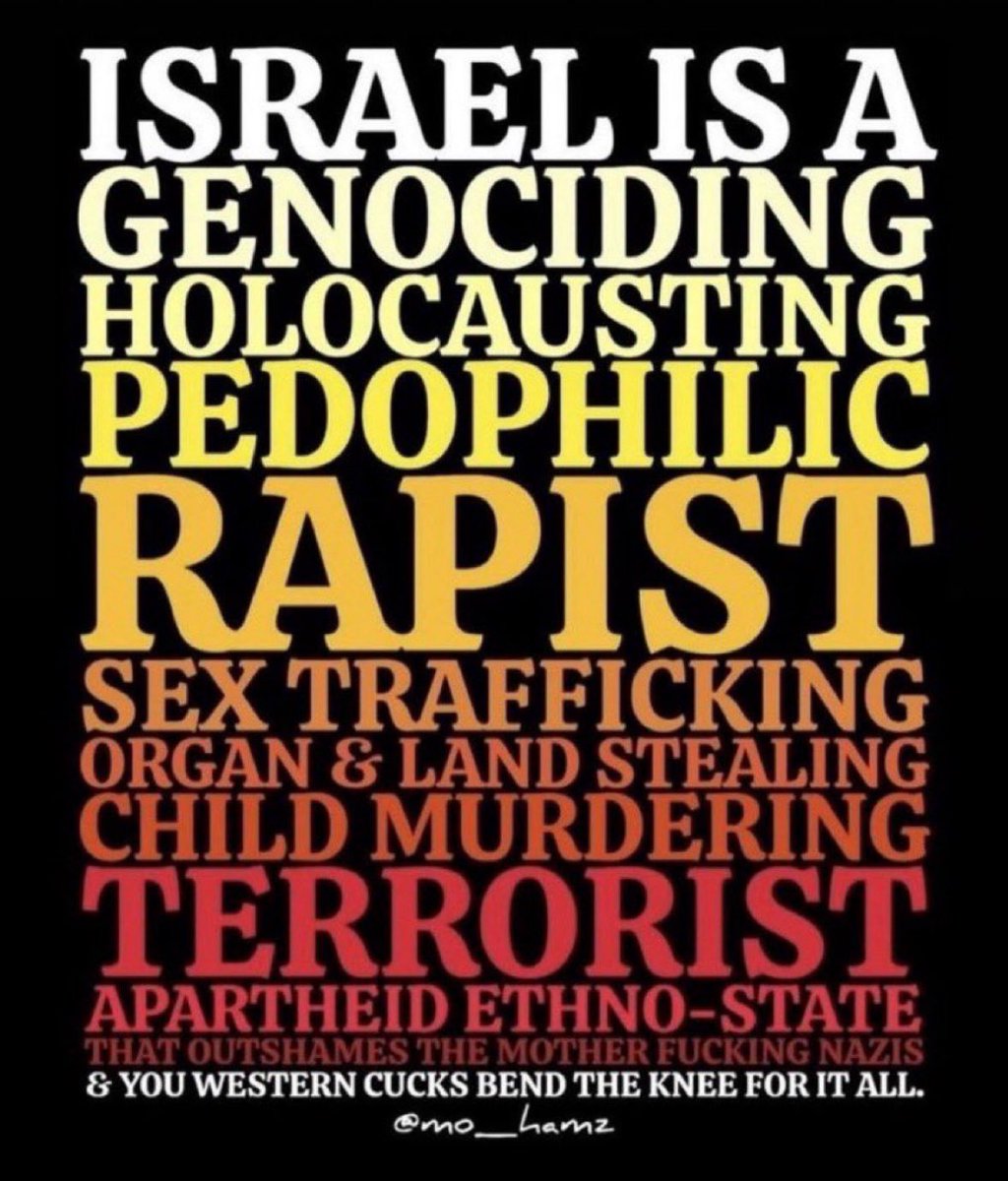 LuluTheLogical🍉 tweet media