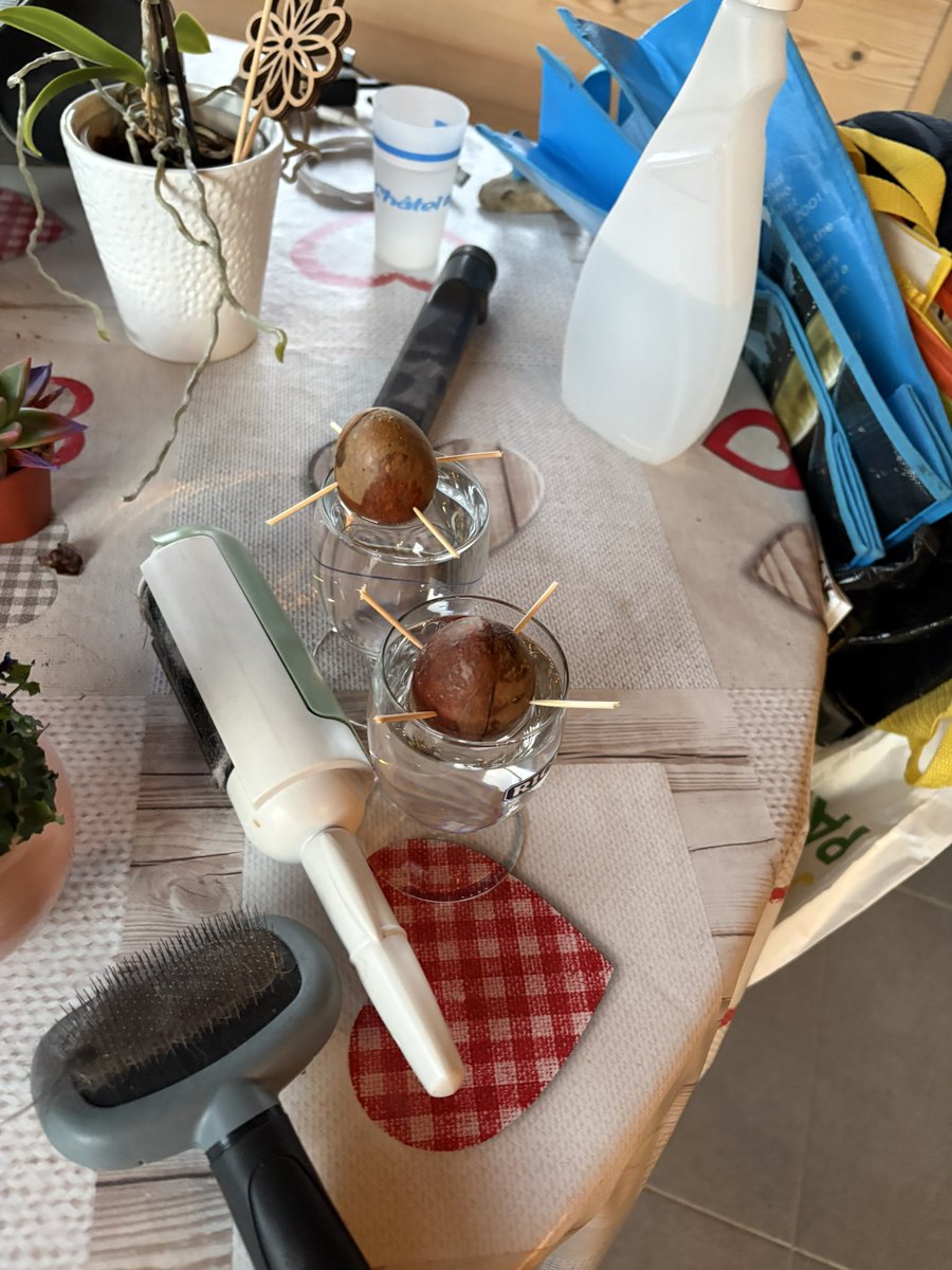 Ced Draw tweet media