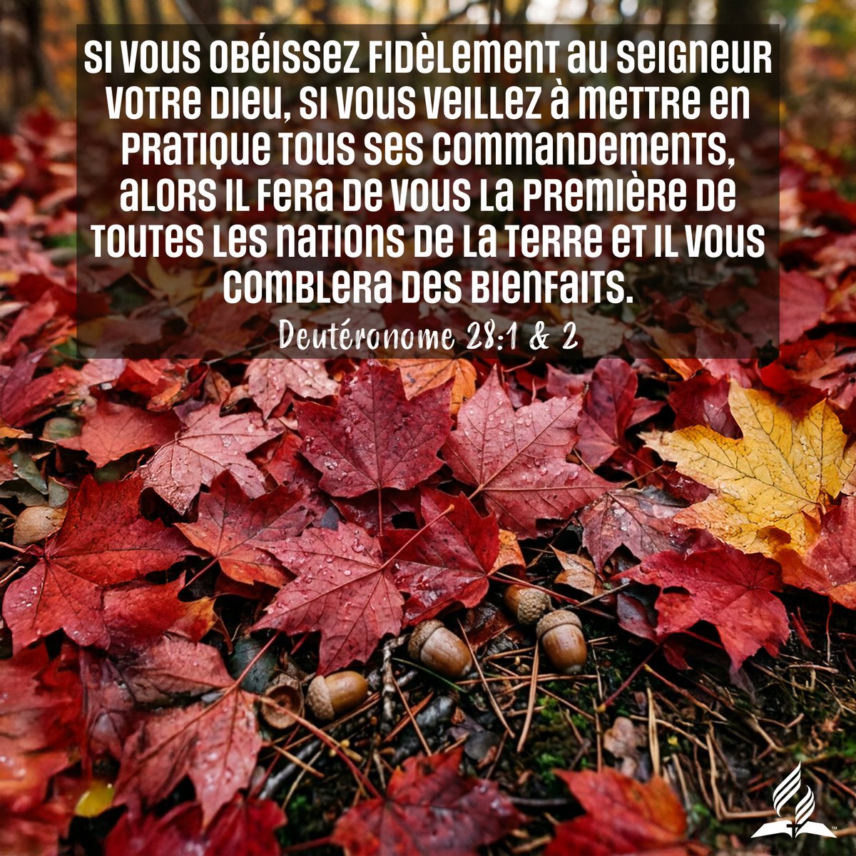 Église d'Épinal tweet media