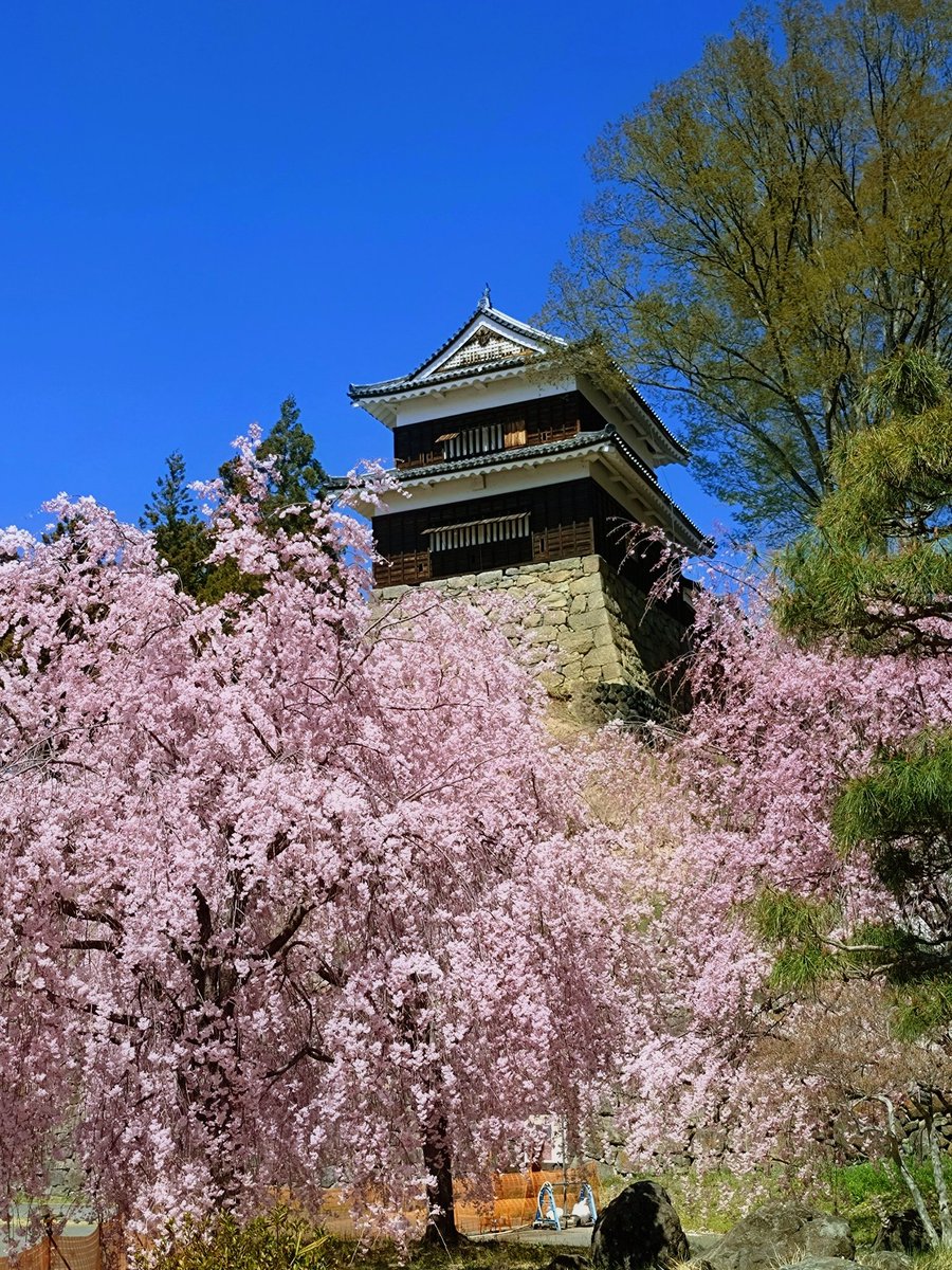 桂旅館 tweet media