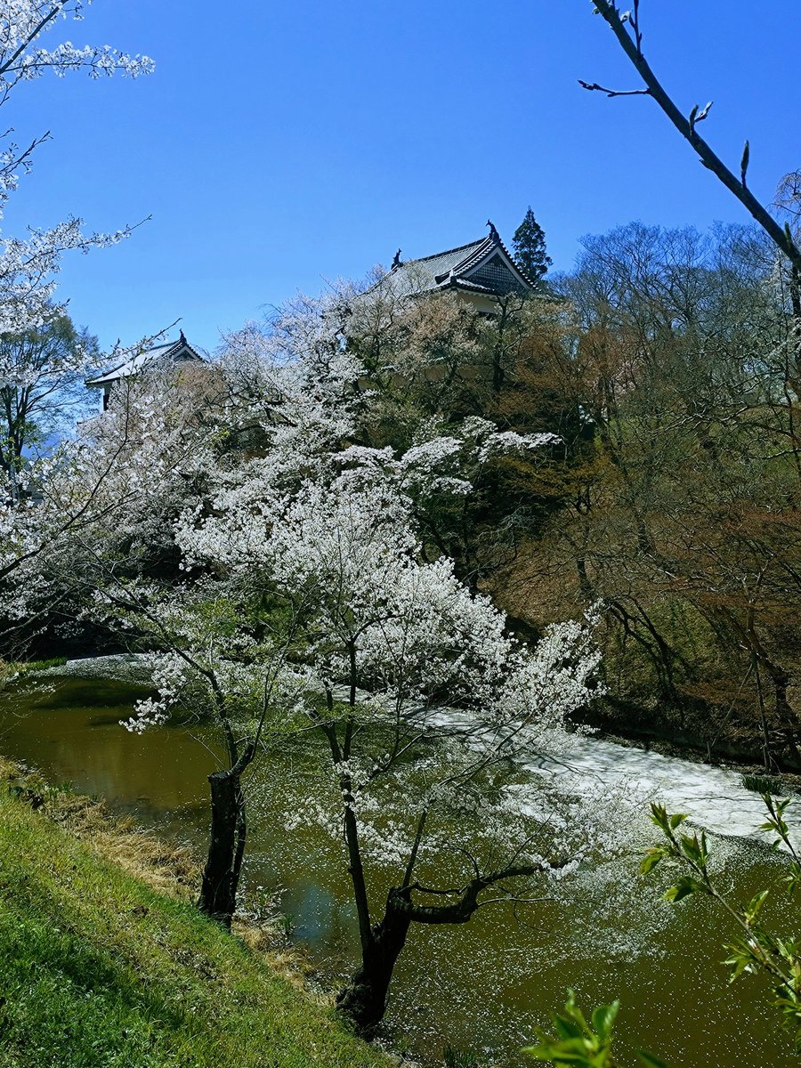 桂旅館 tweet media