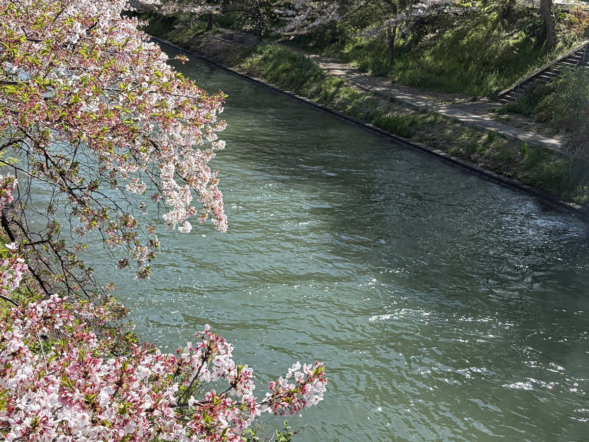 あおえみ tweet media