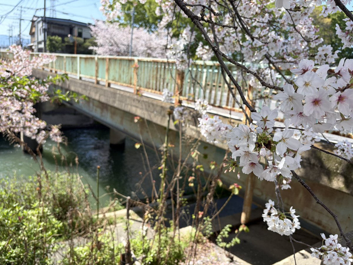 あおえみ tweet media