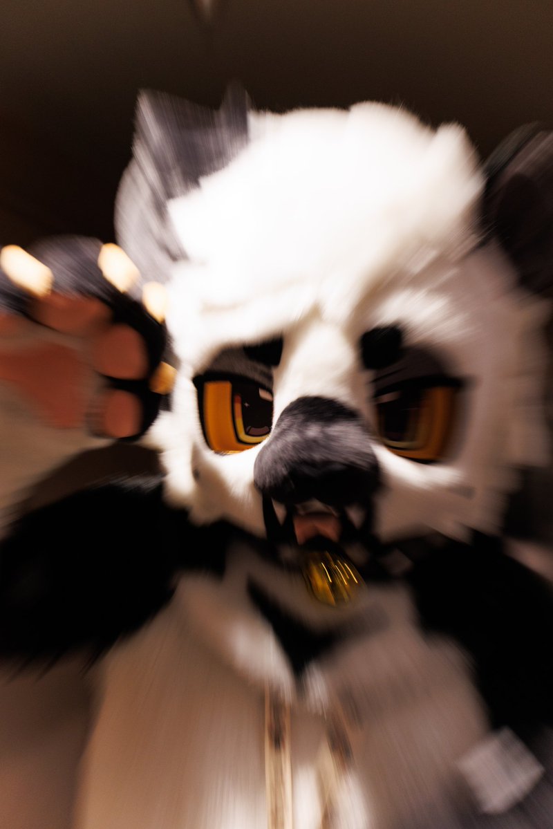 Spacey 》Lvfc, Fwa tweet media