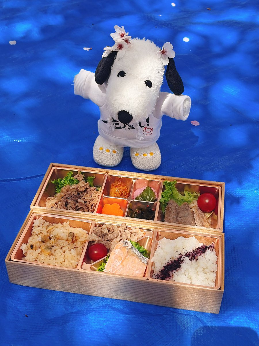 あかえ tweet media