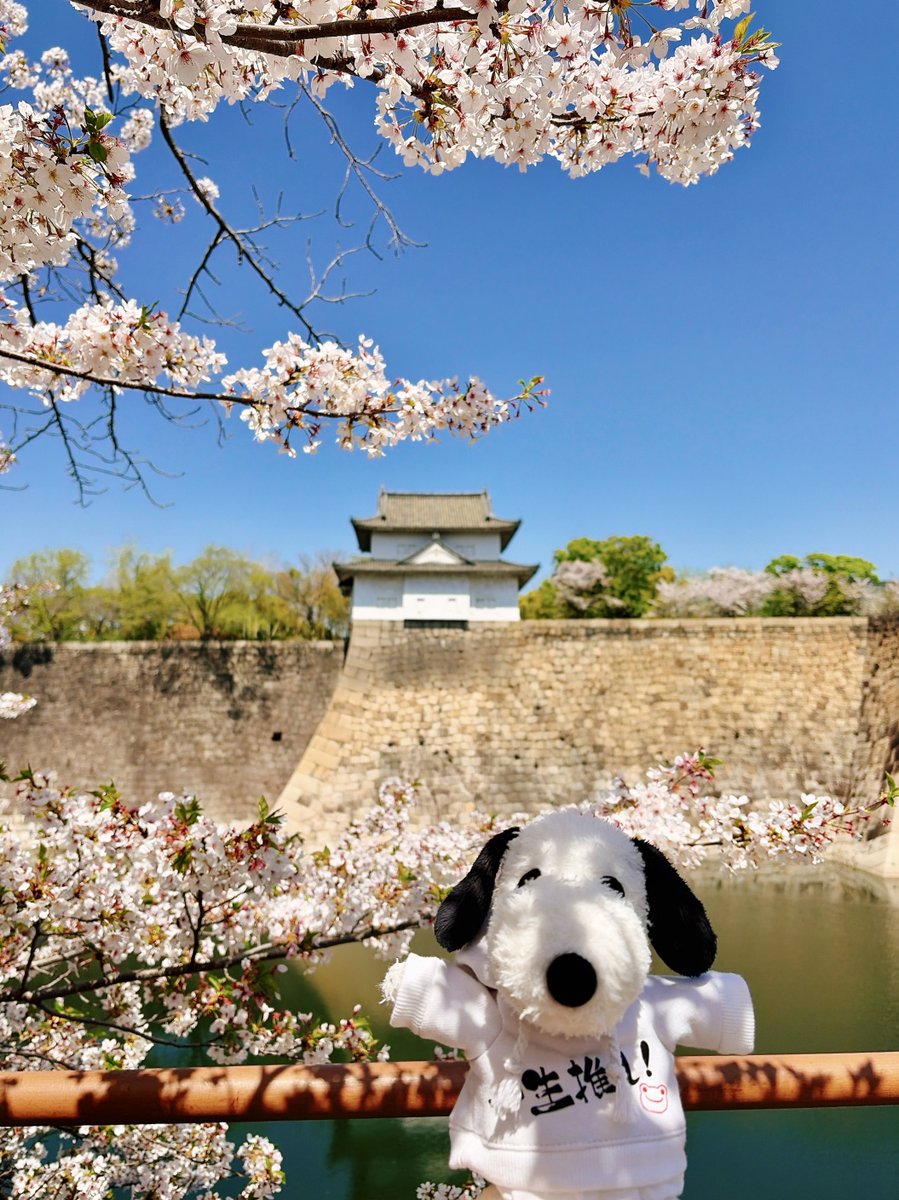 あかえ tweet media