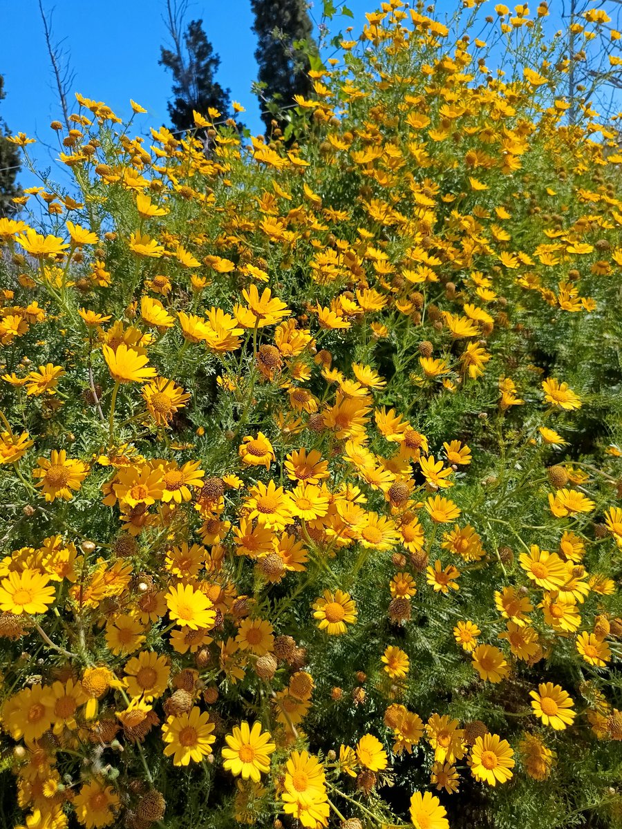 lefteris69 tweet media