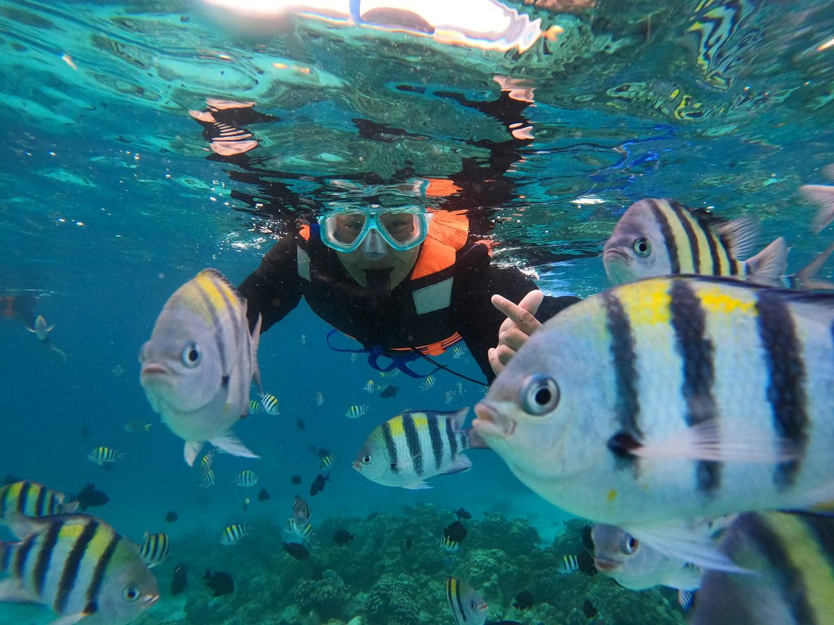 Ida 🩷 tweet media