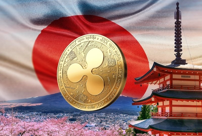 Chloe the XRP shiller 💙 tweet media