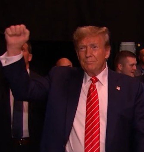 Not Elon Musk tweet media