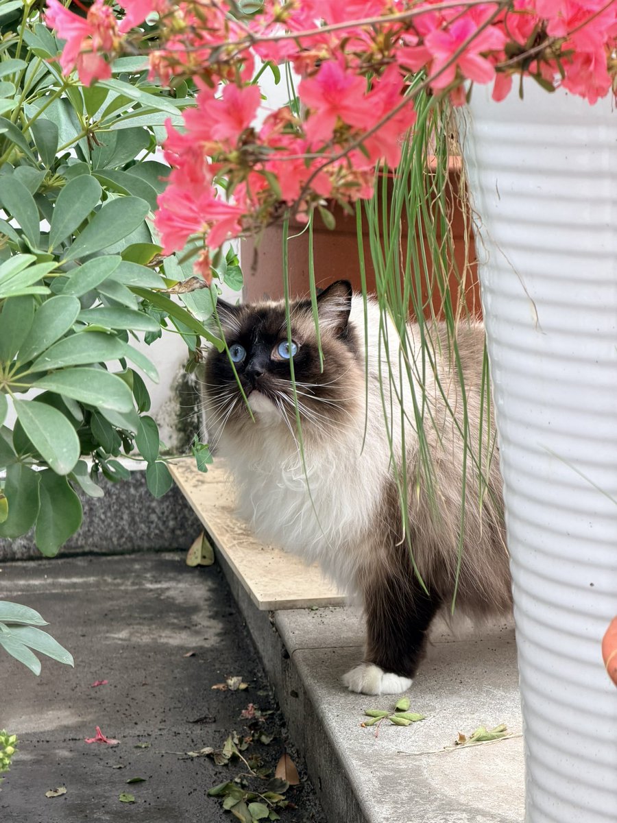 Epiphany tweet media