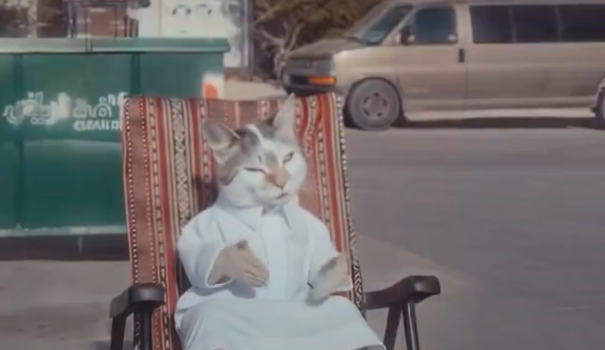 محمد وبس ! tweet media