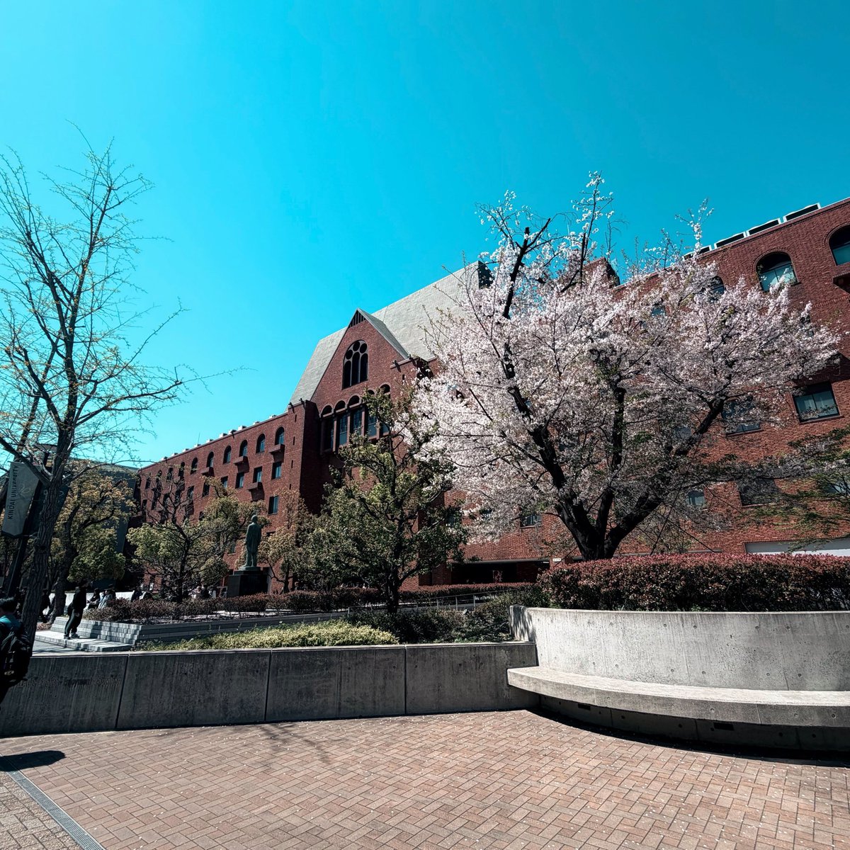 近畿大学🐟 tweet media