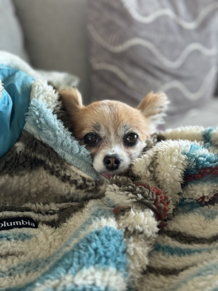 Chris 🌎 tweet media