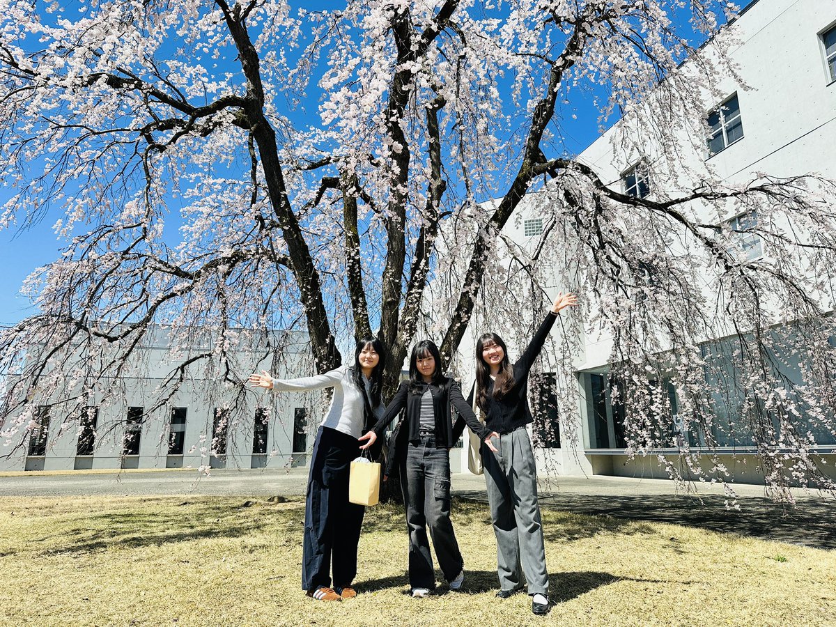 長岡造形大学 tweet media