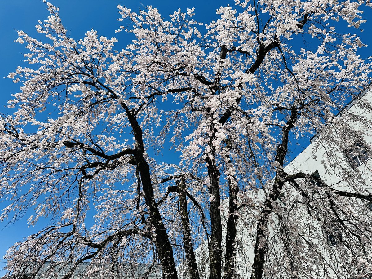 長岡造形大学 tweet media