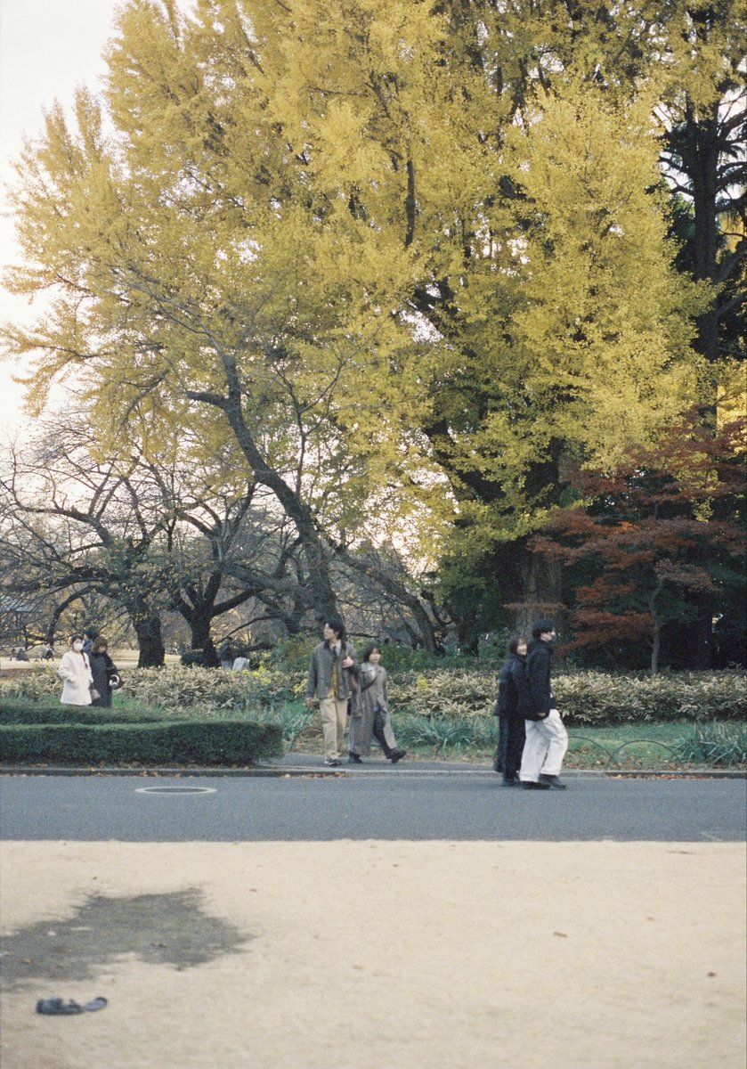 satorusaka's tweet photo. 4 seasons https://t.co/tyycjMczBD