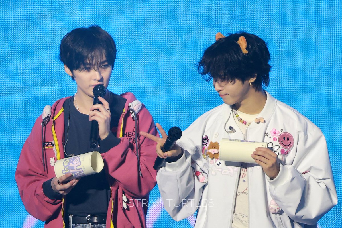 ˢᵗʳᵃʸ ᵗᵘʳᵗˡᵉ tweet media