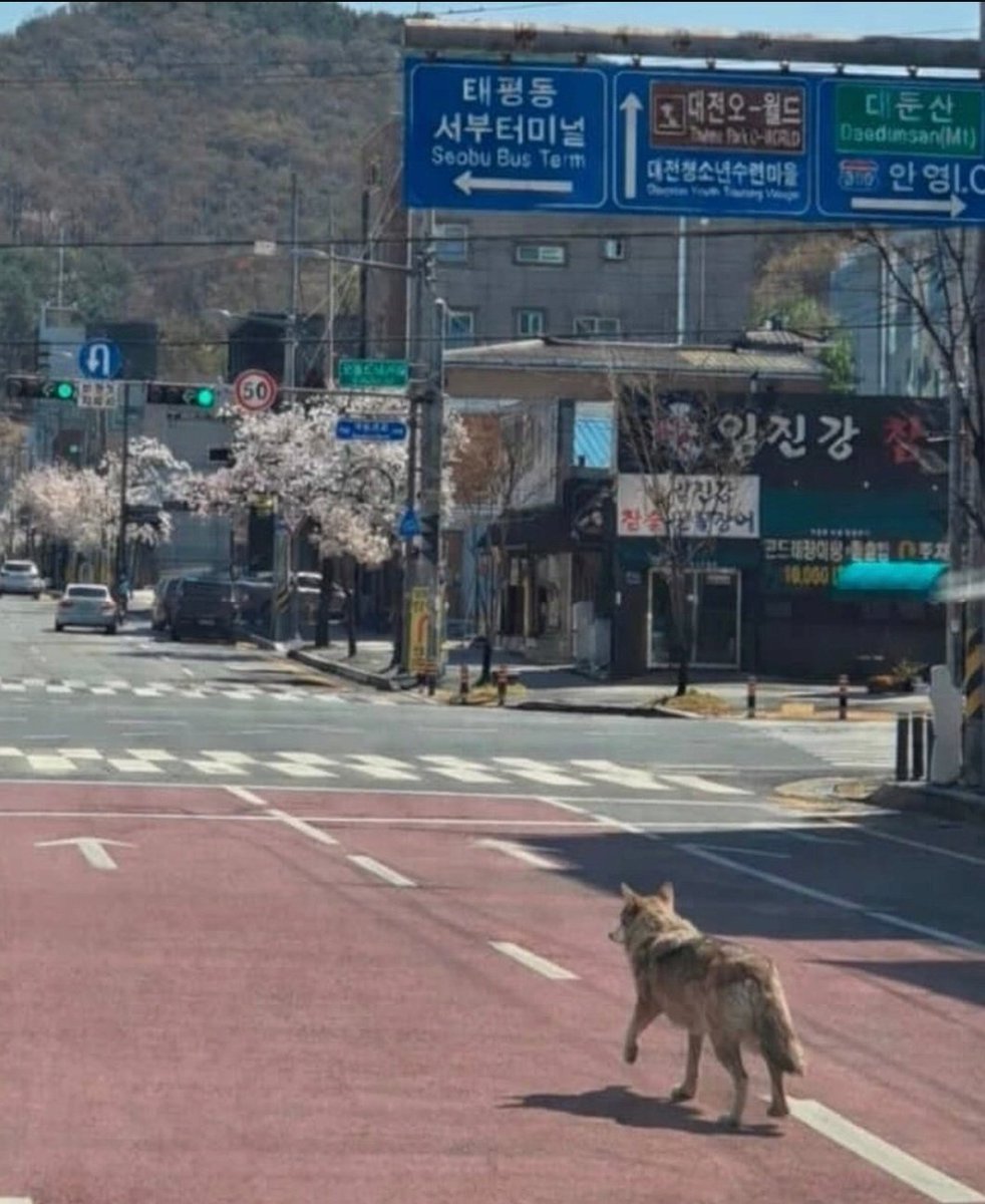 ㄱㅕ울 tweet media