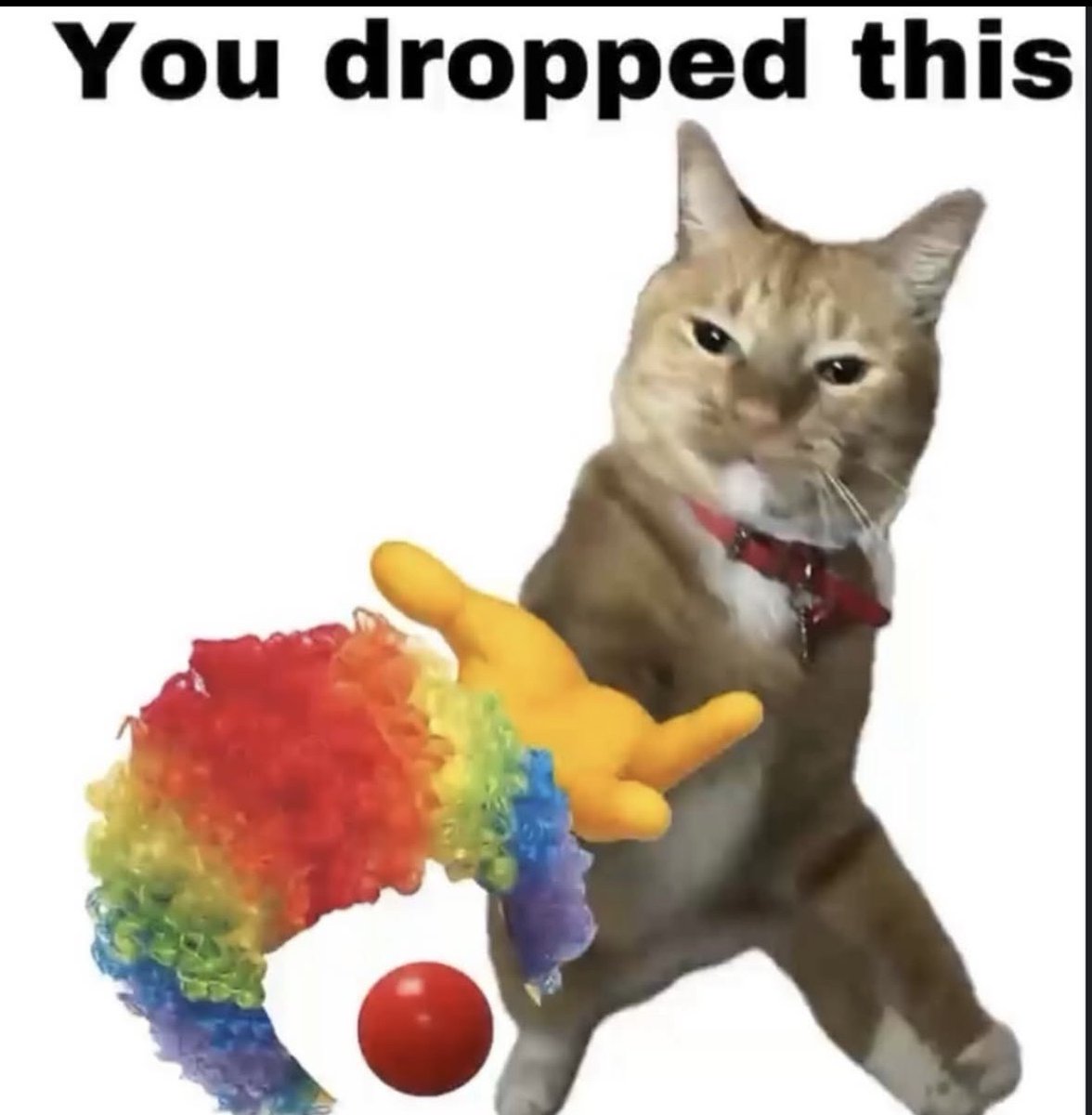 raccoon aesthetic. tweet media