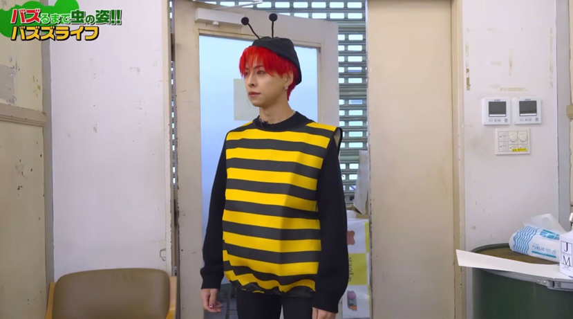 バズるまで虫の姿！？　
ジャラビーばーじょん

#OWVチャンネル
<a href="/owv_official/">OWV</a>