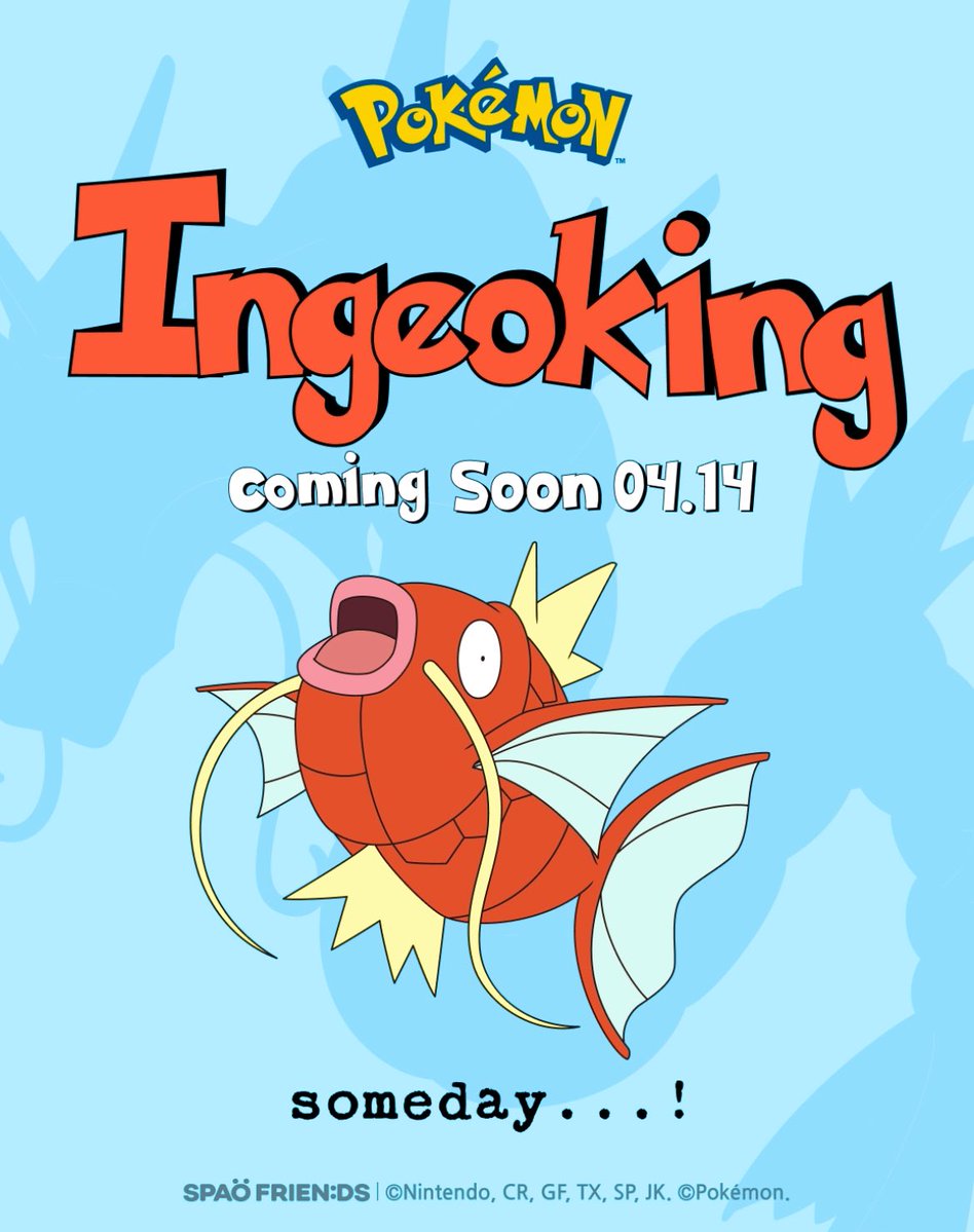 리 韓国代行 韓国情報🇰🇷🇯🇵 tweet media