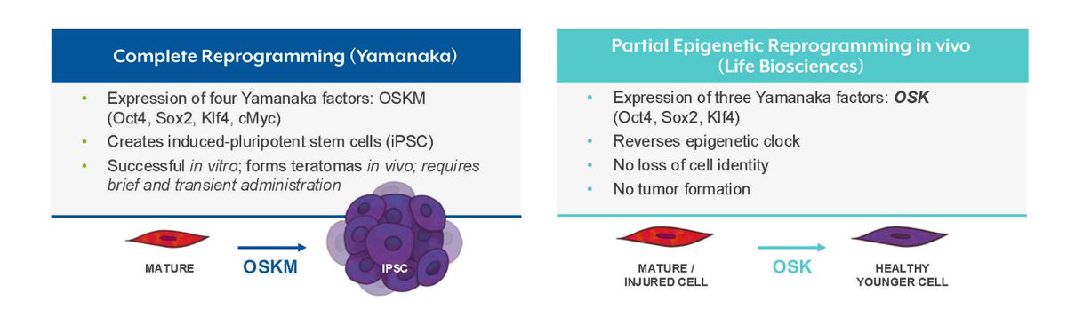 Artur Bikbaev tweet media