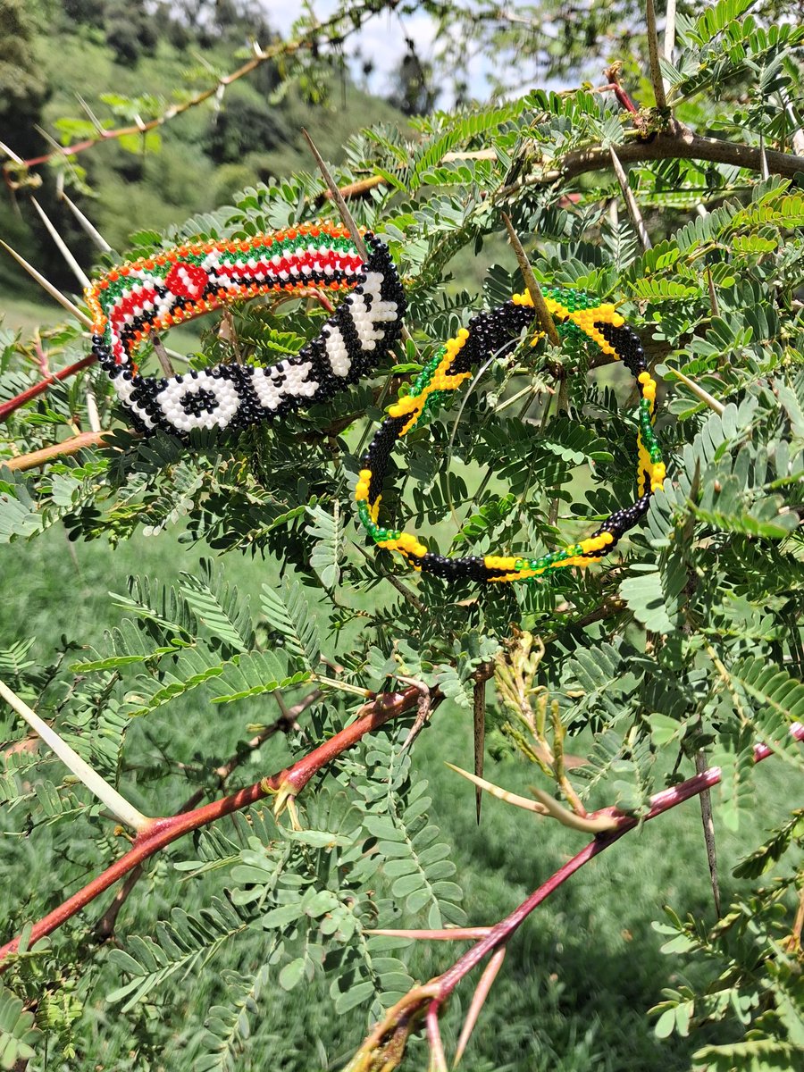 Supeyo🦋 tweet media