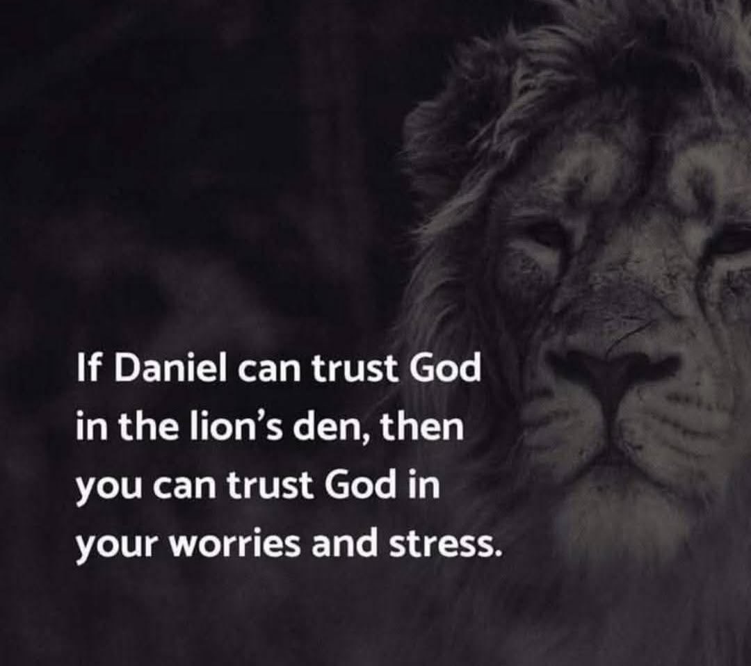 Rocio Garcia tweet media