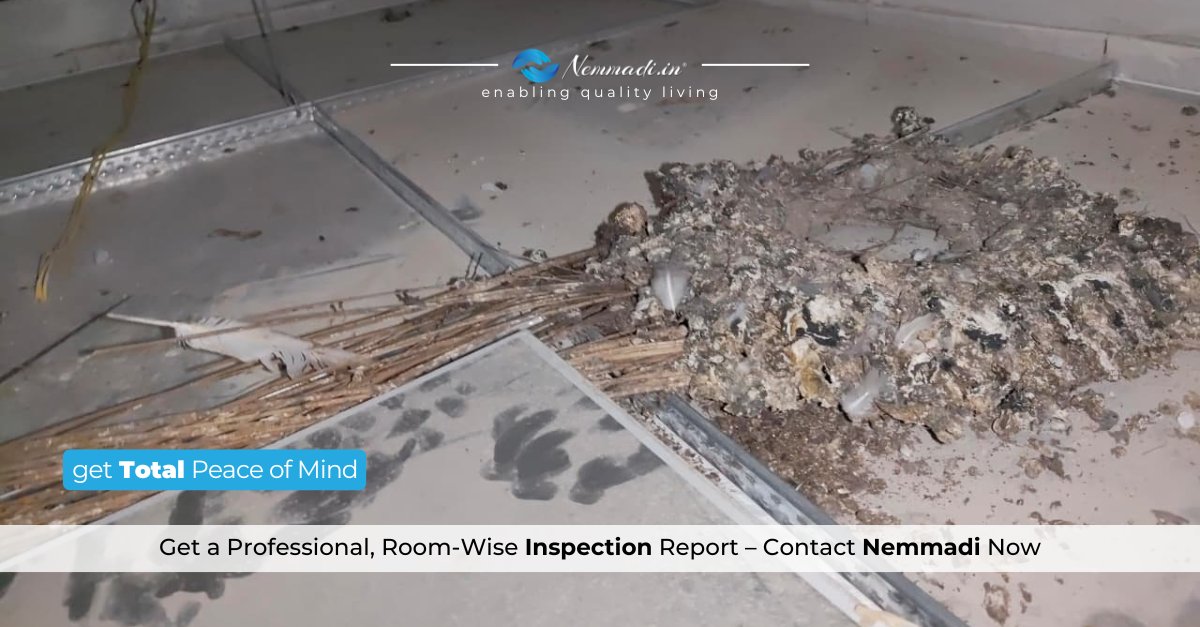nemmadi_in's tweet image. 🚫 What’s Hidden Above Your False Ceiling?

We discovered garbage dumped above the false ceiling in a toilet area.

⚠️ Spaces you can’t see are often the ones that hide the biggest problems.

Book Now: nemmadi.in/quote-for-b2c/

#homeinspection #falseceiling #siteissues