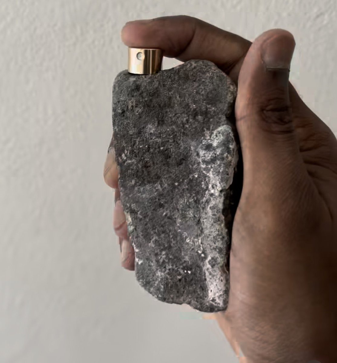 HUMPHREY TIPS tweet media