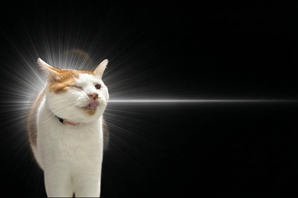 にっか tweet media