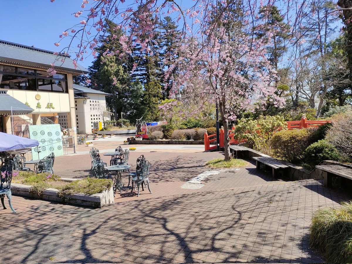 みなみ4 tweet media